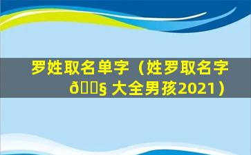 罗姓取名单字（姓罗取名字 🐧 大全男孩2021）